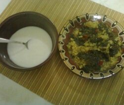 Лопуш с ориз в чиния и кисело мляко в купичка